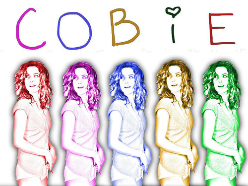  Cobie Smulders