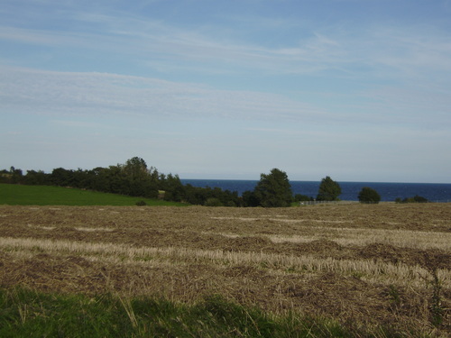  Danish landscape