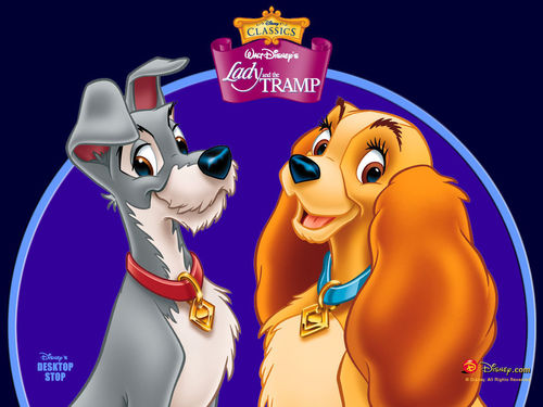  Lady and The Tramp wallpaper