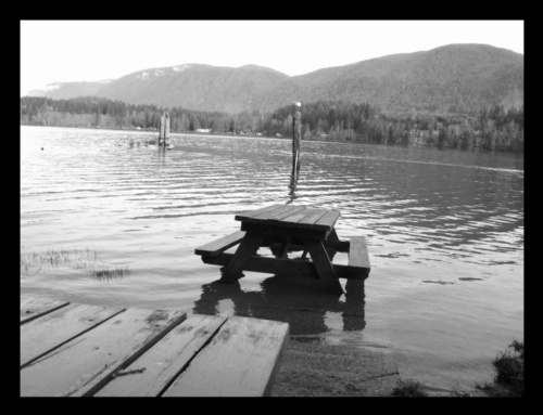  aleatório shot of lake cowichan
