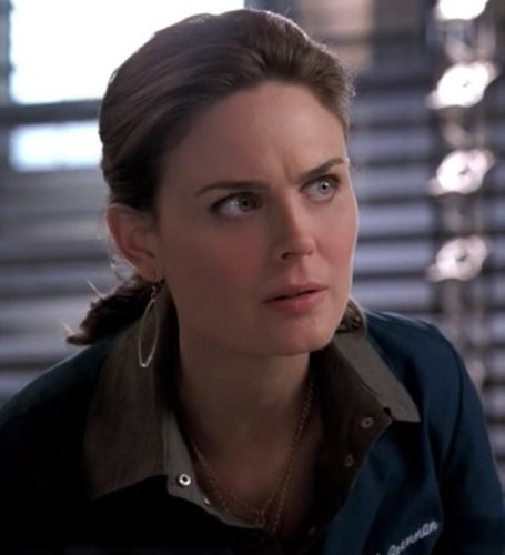  Temperance Brennan - The Perfect Pieces in the Purple Pond
