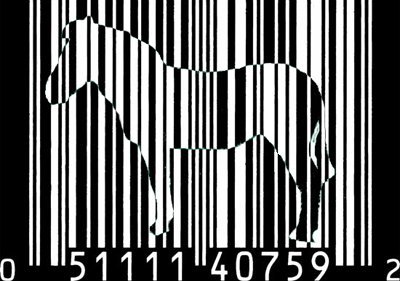  barcode kuda zebra, zebra