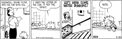 Calvin and Hobbes Comic Strip