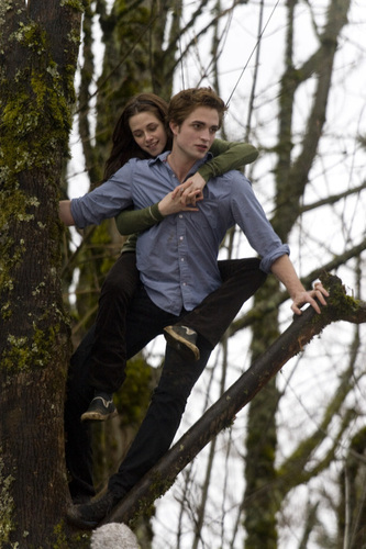  Edward Cullen and Bella 天鹅