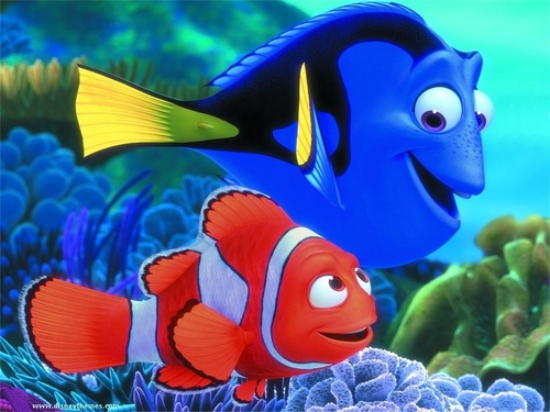  Finding Nemo দেওয়ালপত্র