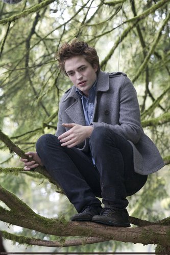  New Edward Picture