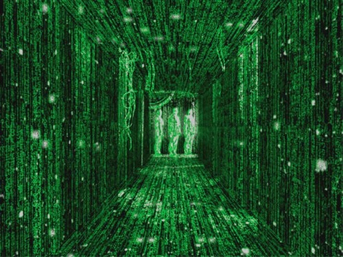  The Matrix 壁纸