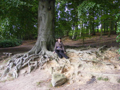 debs and a really big tree 