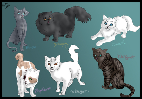 lot of warrior cats