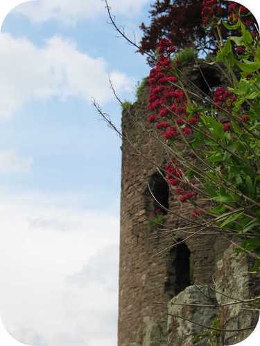  Abergavenny lâu đài