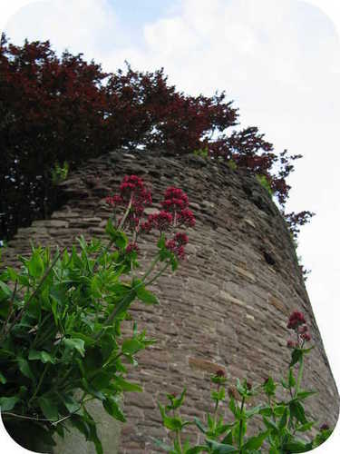  Abergavenny 城堡