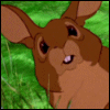  Watership Down animated icones