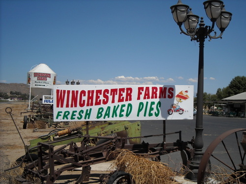  Winchester Pie