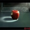 APPLES HAVE RIGHTS TOO deathnote photo